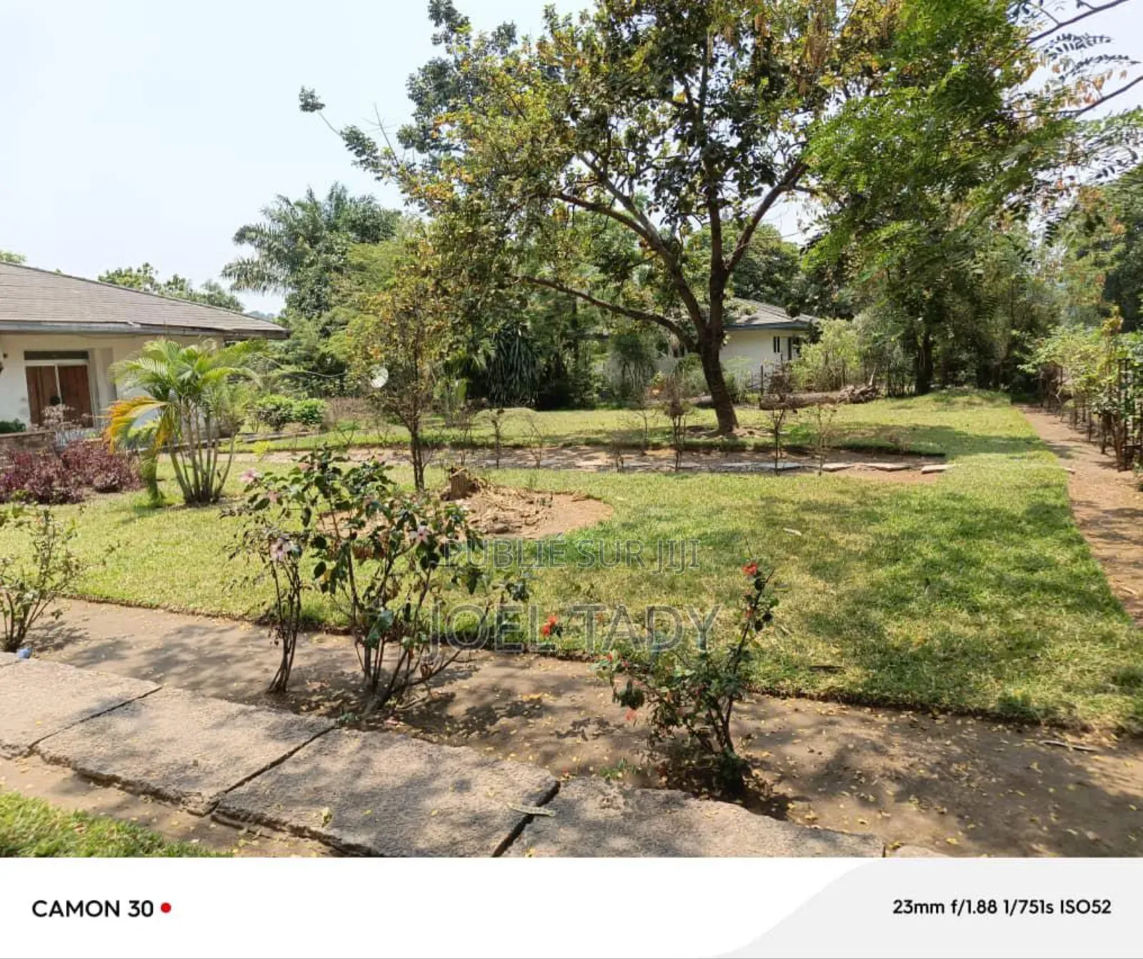 Vente Terrain Mimosas