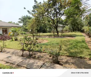 Vente Terrain Mimosas