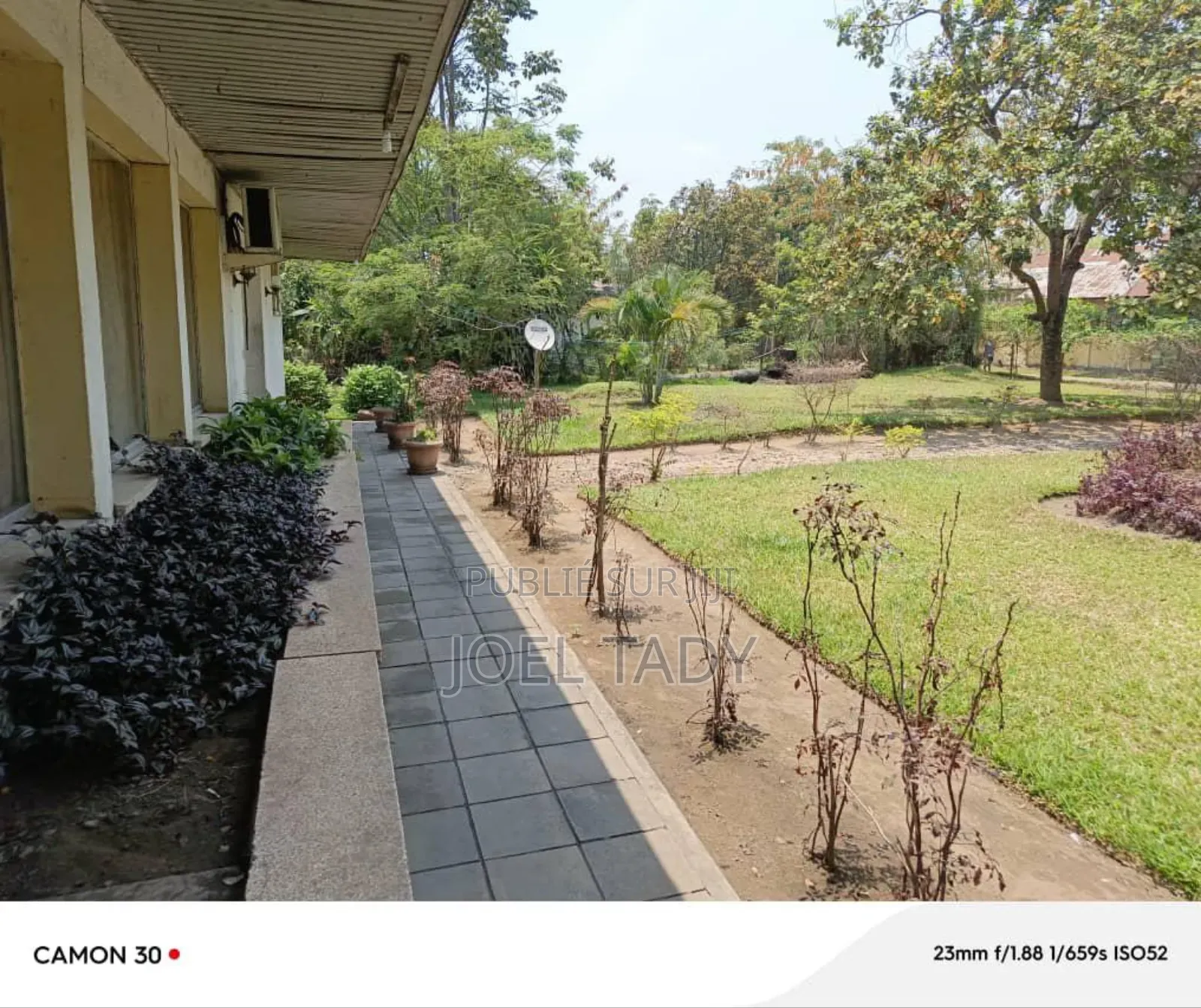 Vente Terrain Mimosas