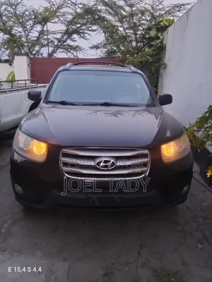 Hyundai Santa Fe 2011 Blue