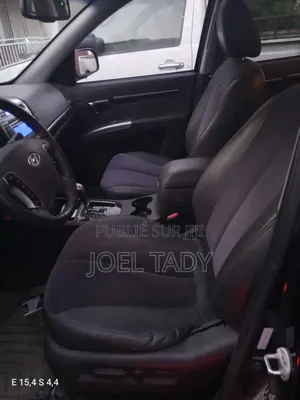 Hyundai Santa Fe 2011 Blue