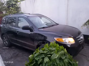 Hyundai Santa Fe 2011 Blue