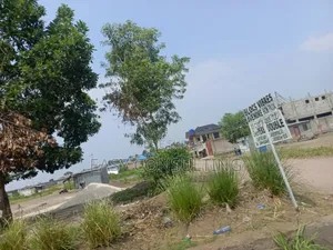 Terrain À Vendre – N’Sele, Quartier Plaza