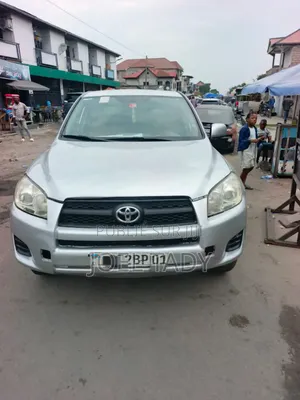 Toyota RAV4 2010 Gris