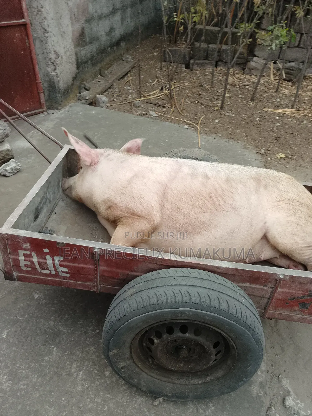 Je Viens De Débuter Sur Ce Business