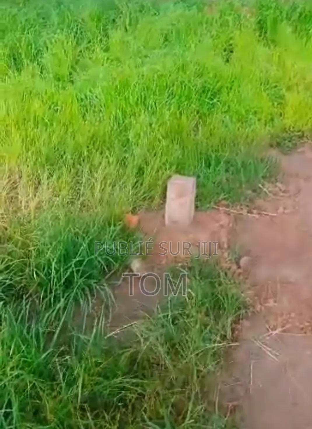 5 Terrain À Vendre