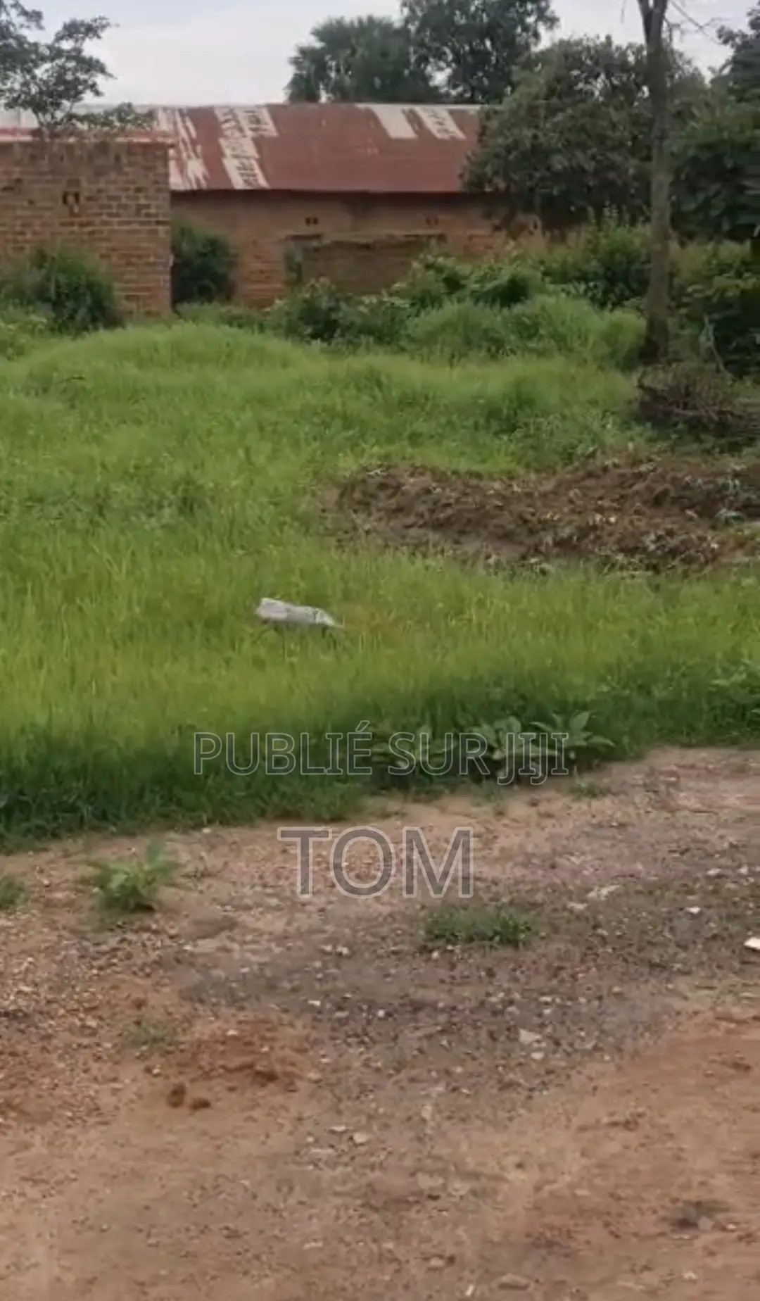 5 Terrain À Vendre