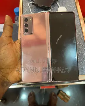 Samsung Folder2 256 GB Or rose