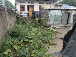 Terrain À Vendre À N’Sele – Quartier Terre Jaune