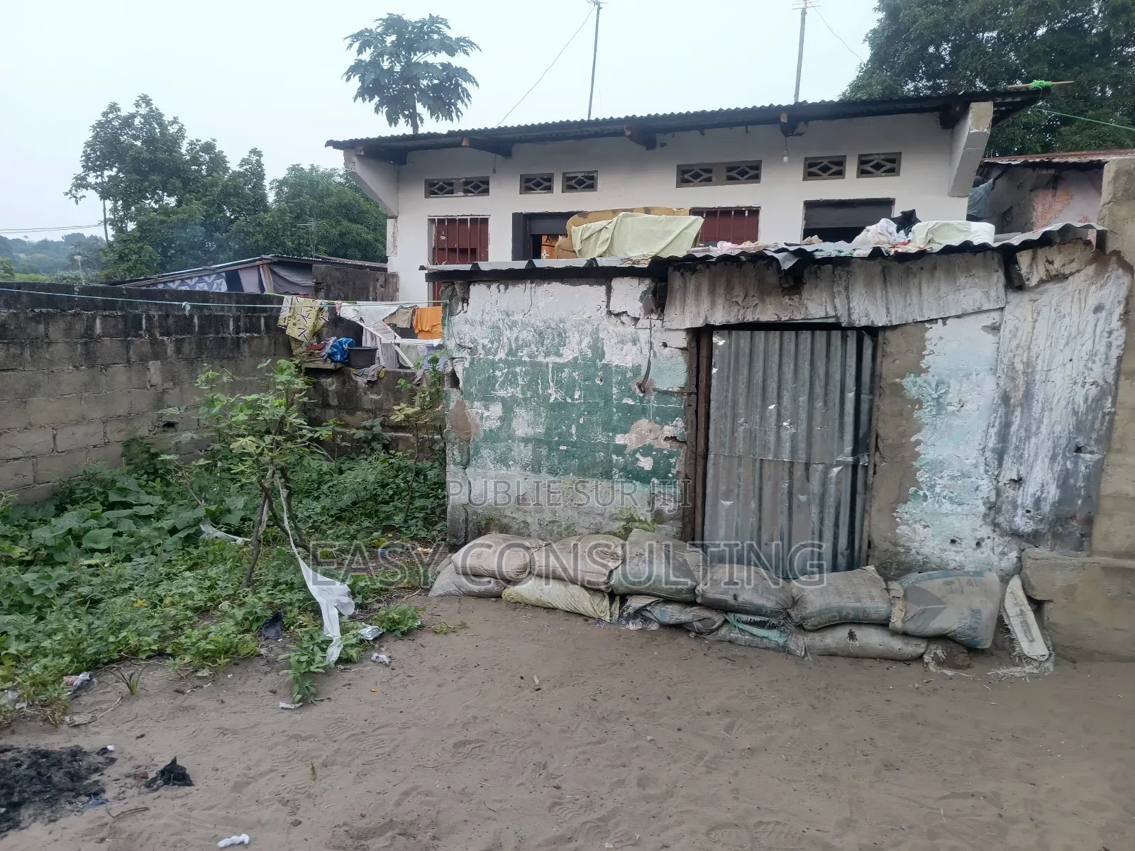 Terrain À Vendre À N’Sele – Quartier Terre Jaune