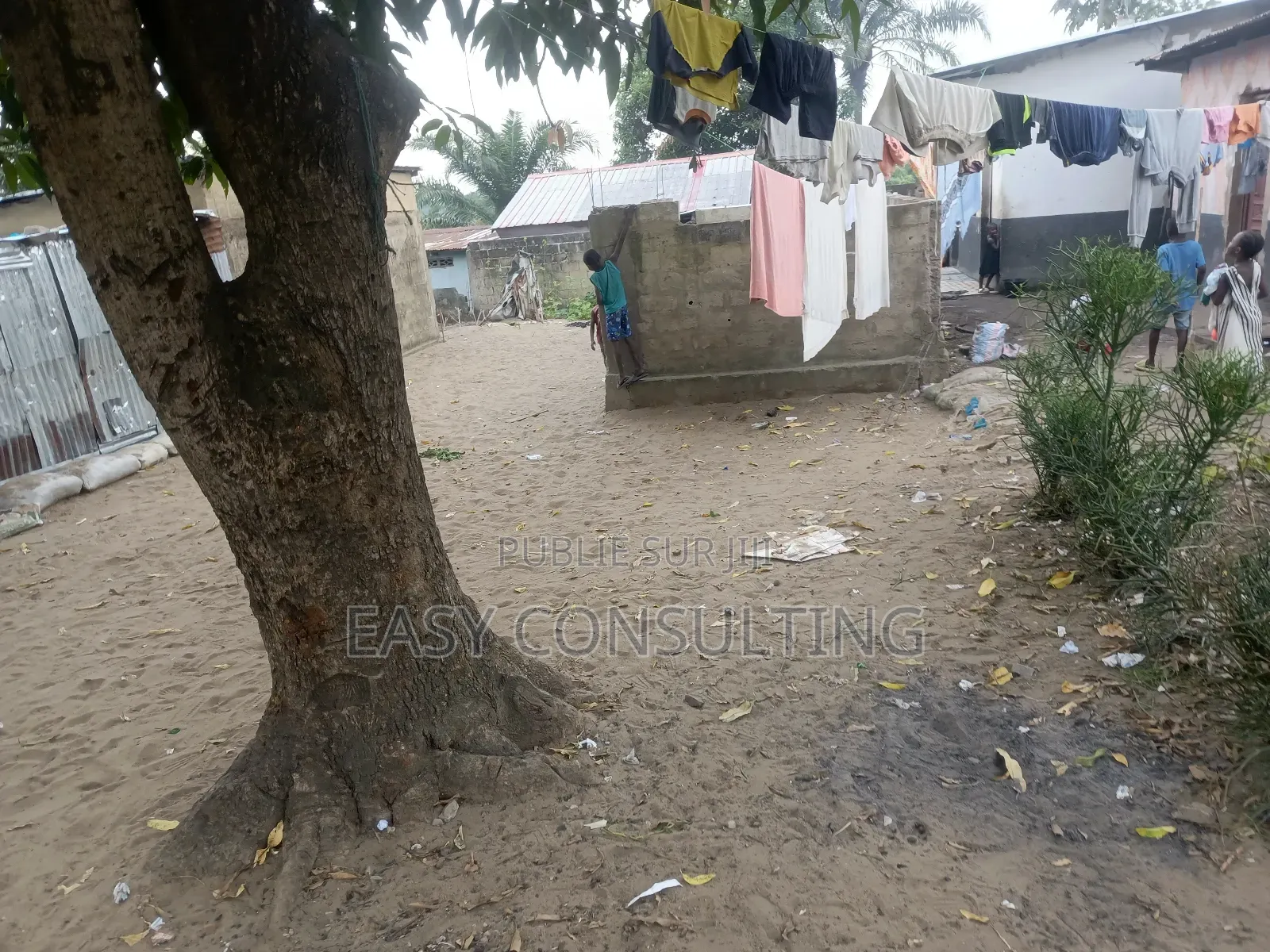 Terrain À Vendre À N’Sele – Quartier Terre Jaune