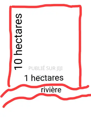 Hectares À Vendre