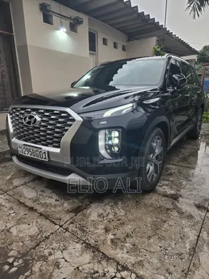 Hyundai Palissade 2022 Noir