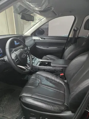 Hyundai Palissade 2022 Noir