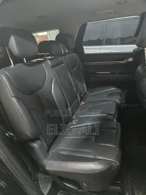 Hyundai Palissade 2022 Noir