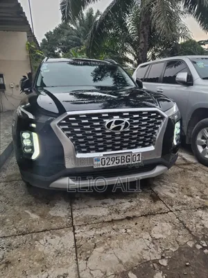 Hyundai Palissade 2022 Noir