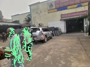 Une Concession En Vente Dans La Commune De Limeté Kingabwa