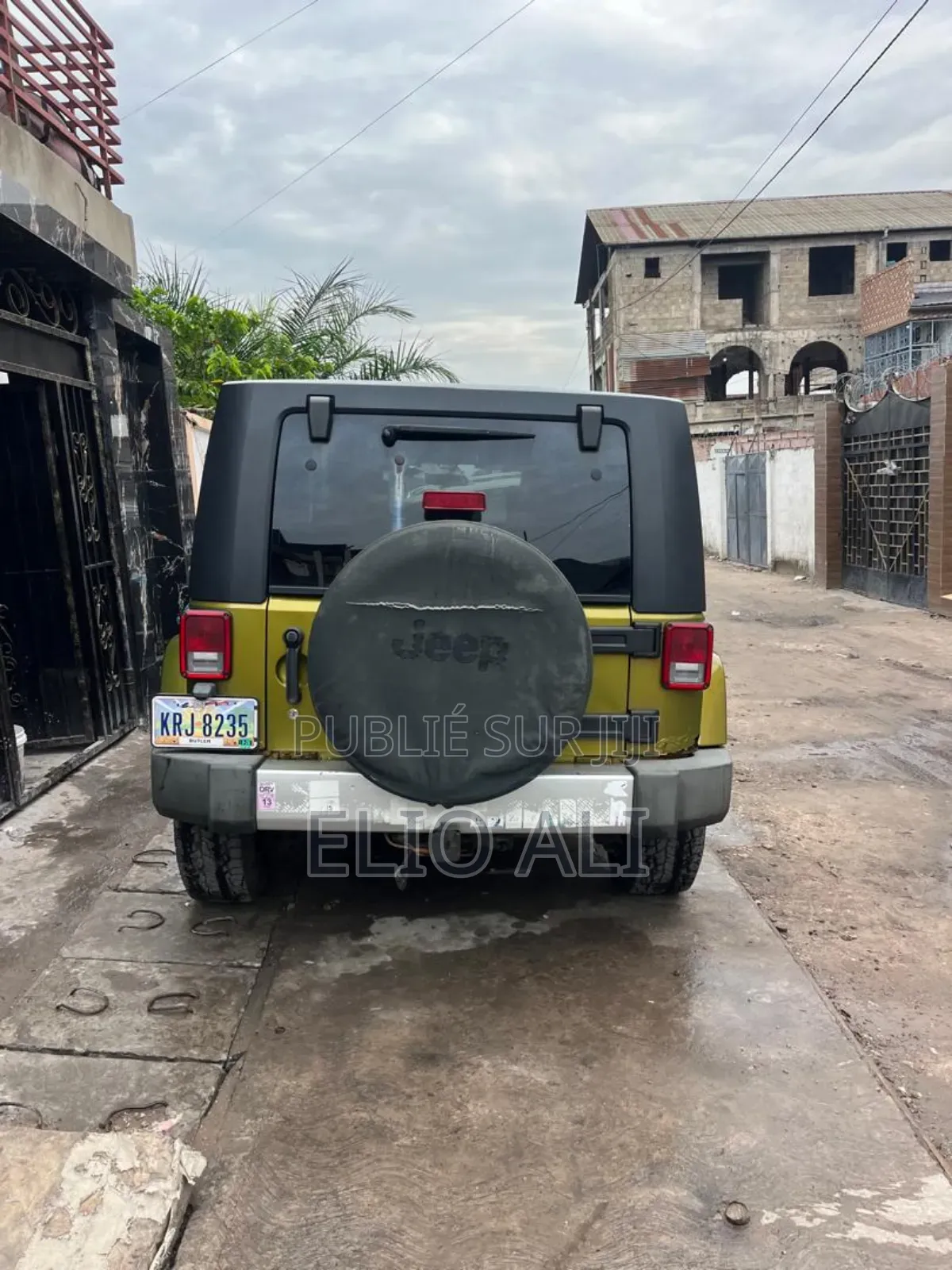 Jeep Wrangler Sahara 2011 Vert