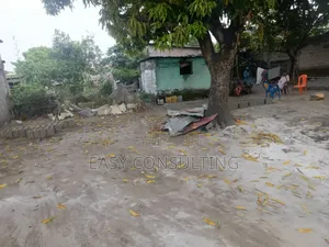 Parcelle À Vendre – N’Sele, 1ère Avenue Après l'Asphalte 3 Paillotes