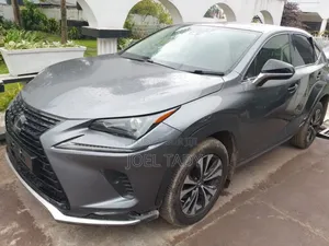 Lexus NX 300h 2020 Beige