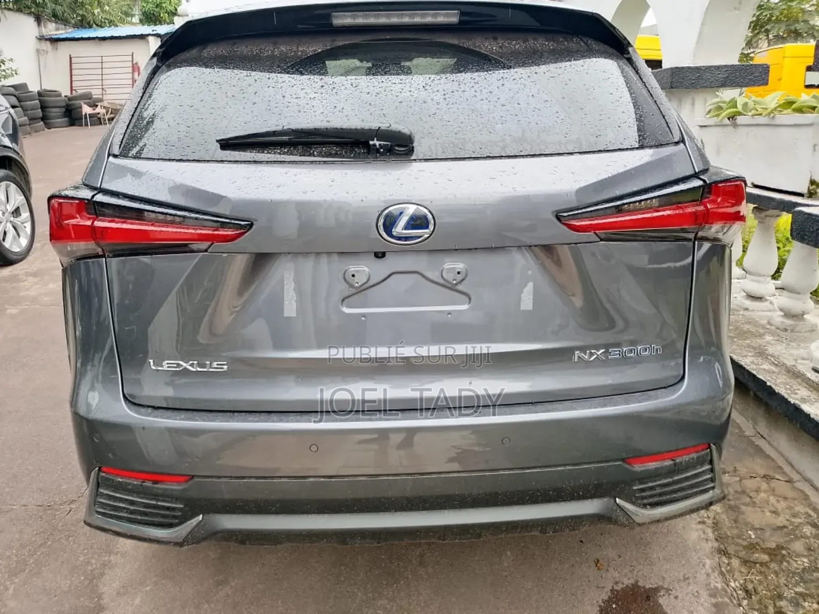 Lexus NX 300h 2020 Beige