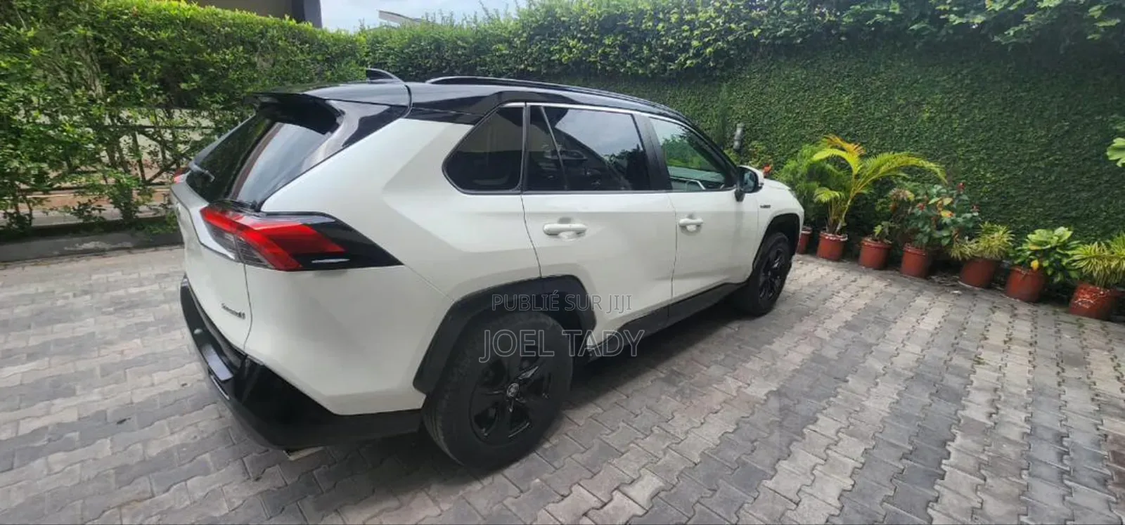Toyota RAV4 Hybrid 2020 Blanc
