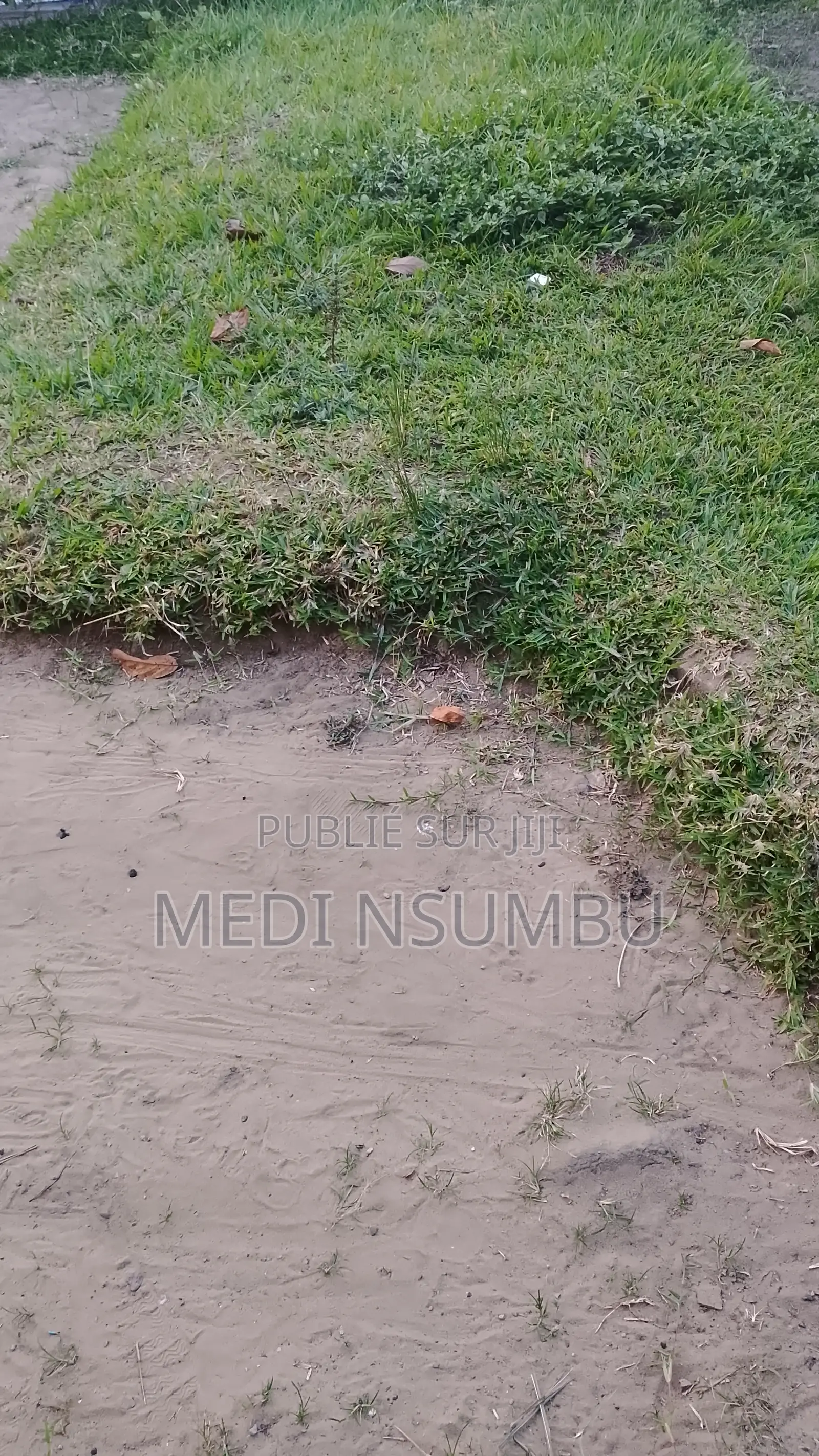 Multi Service ( Jardinage, Peinture, Nettoyage, Repassage)