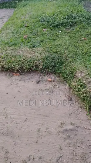 Multi Service ( Jardinage, Peinture, Nettoyage, Repassage)