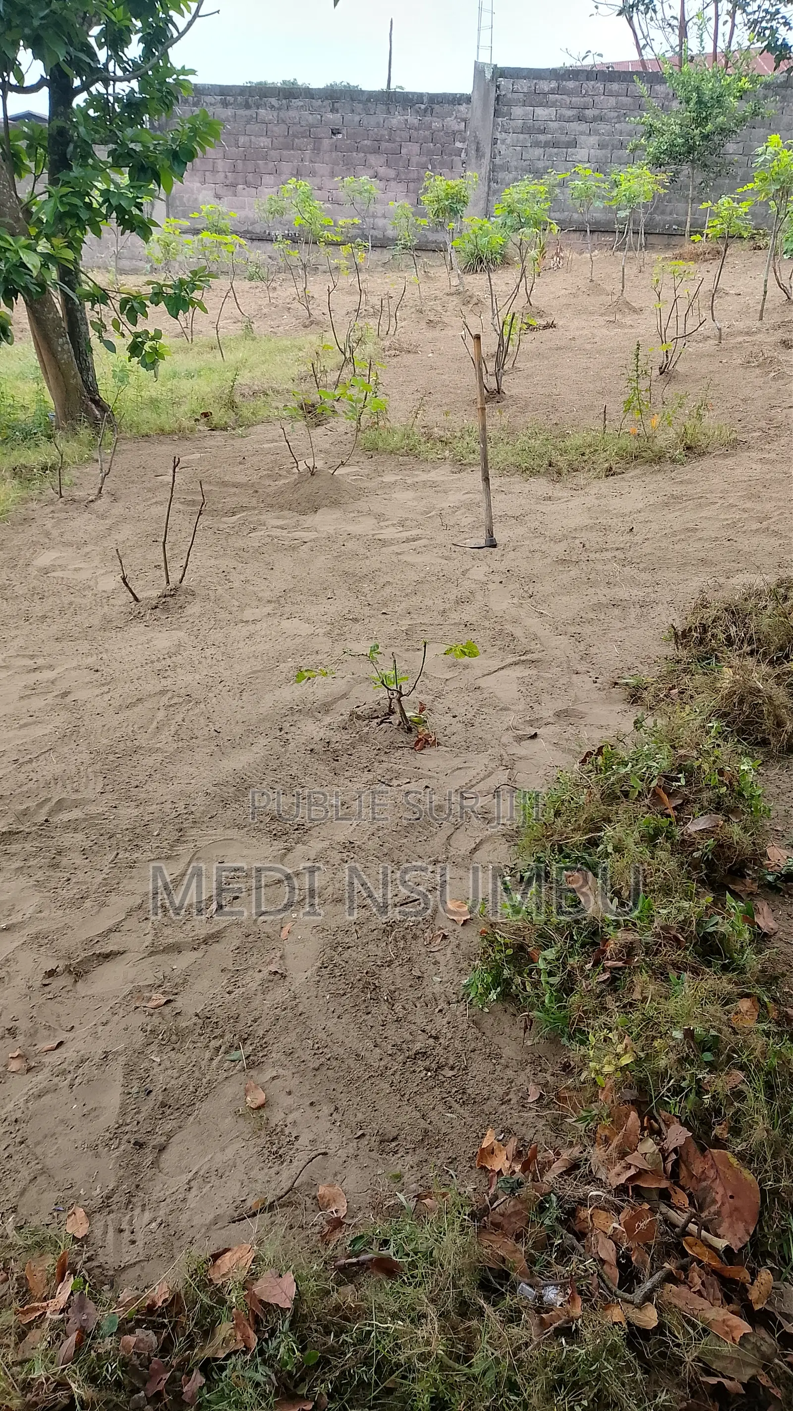 Multi Service ( Jardinage, Peinture, Nettoyage, Repassage)