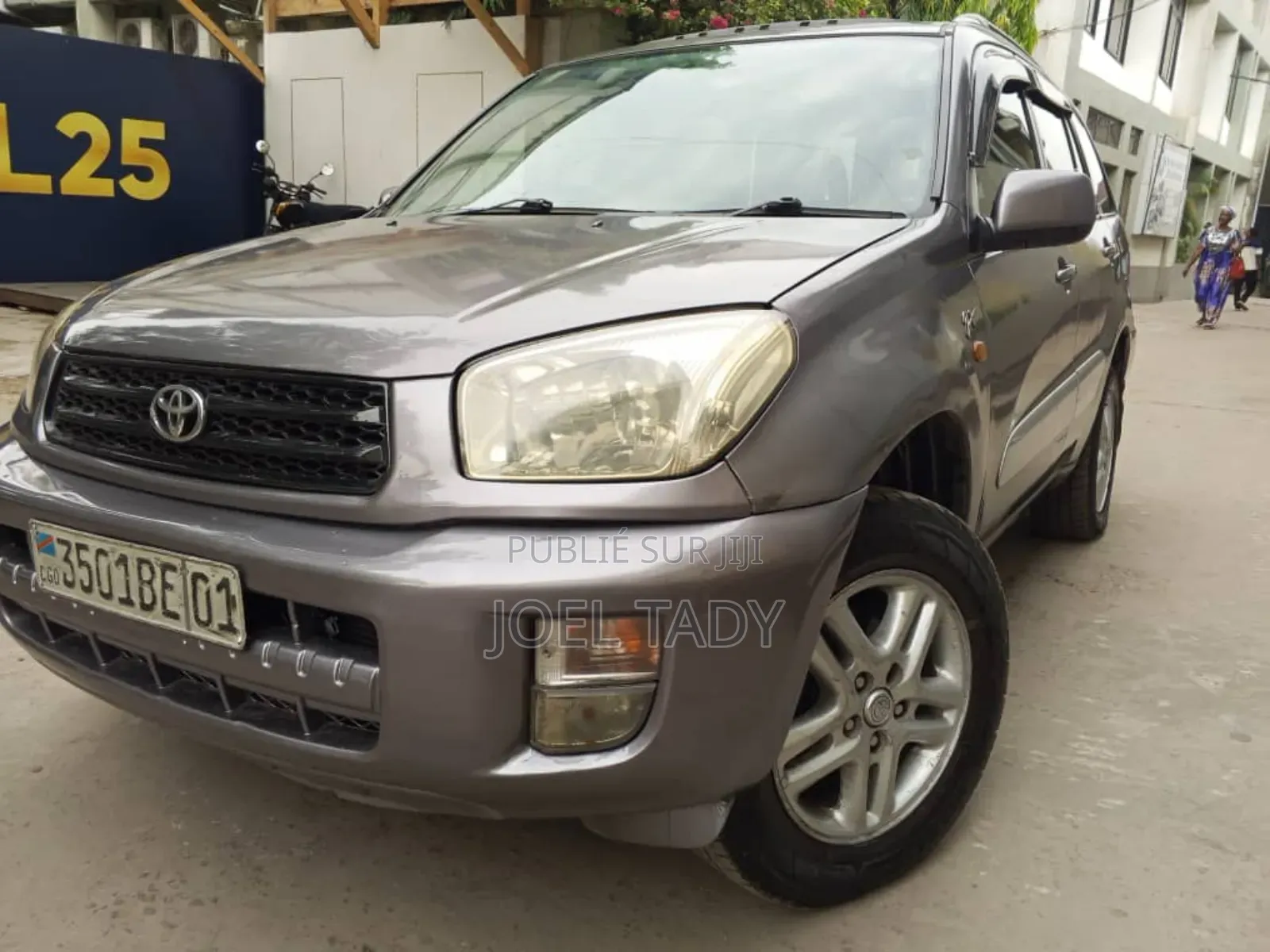 Toyota RAV4 2010 Marron