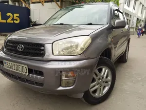 Toyota RAV4 2010 Marron