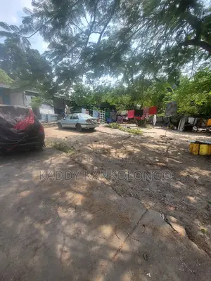 Terrains À Vendre À Pigeon/ Ngaliema 20msur20