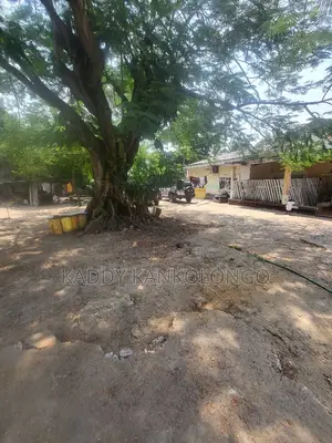 Terrains À Vendre À Pigeon/ Ngaliema 20msur20