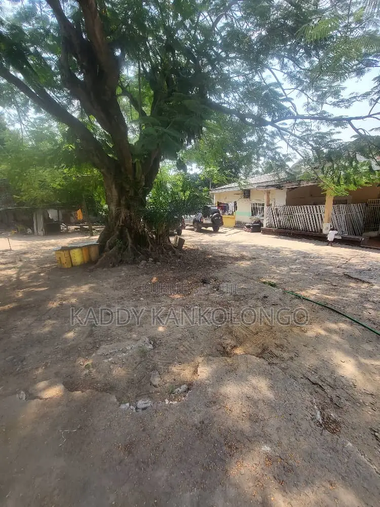 Terrains À Vendre À Pigeon/ Ngaliema 20msur20