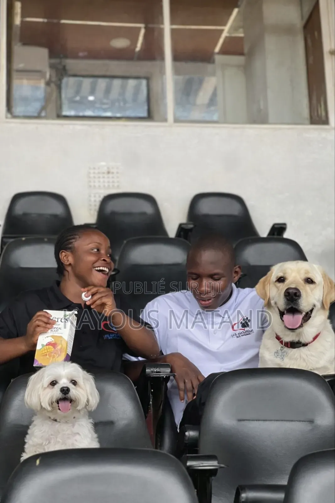 3-6 mois Homme Pure race Boerboel