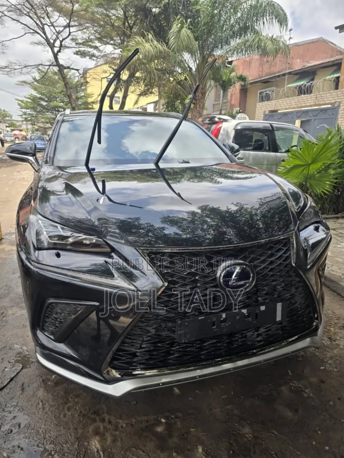 Lexus NX 300h 2020 Bleu