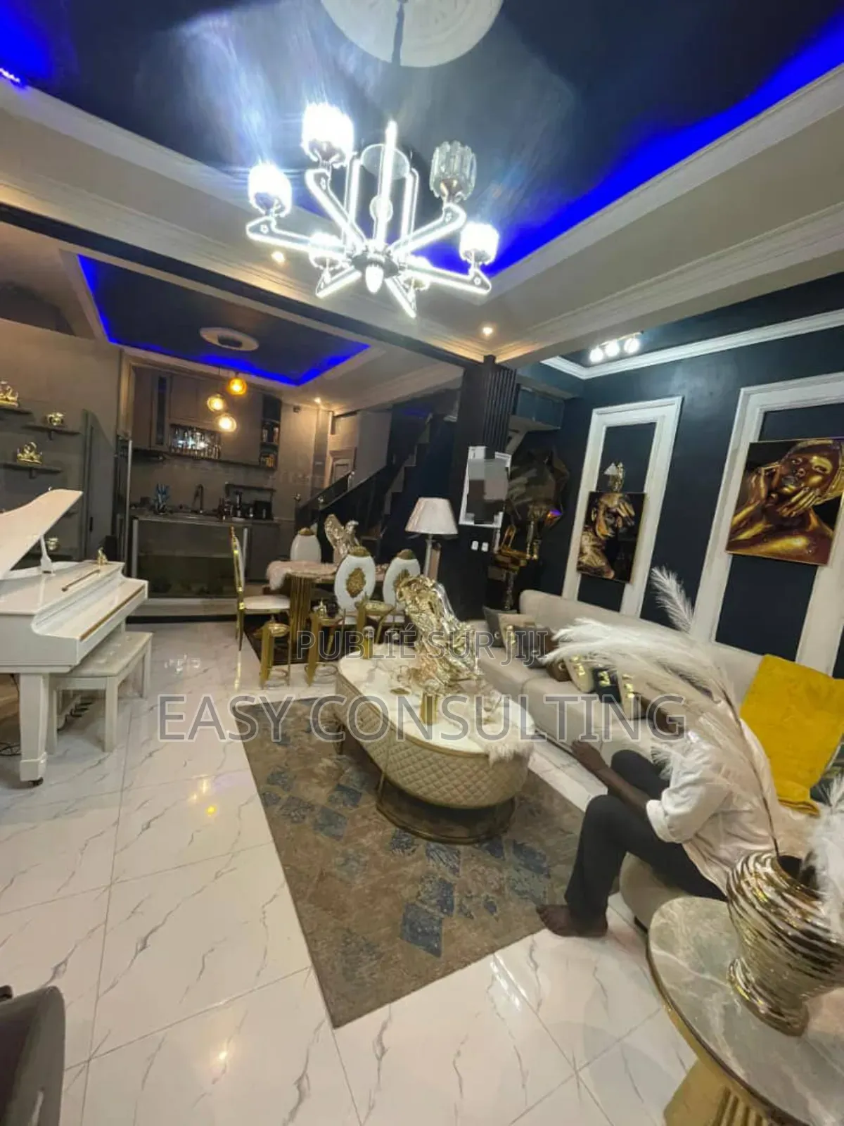 Meublé 5chbre Villa dans 1 Ère Rue, Ndjili à Vendre