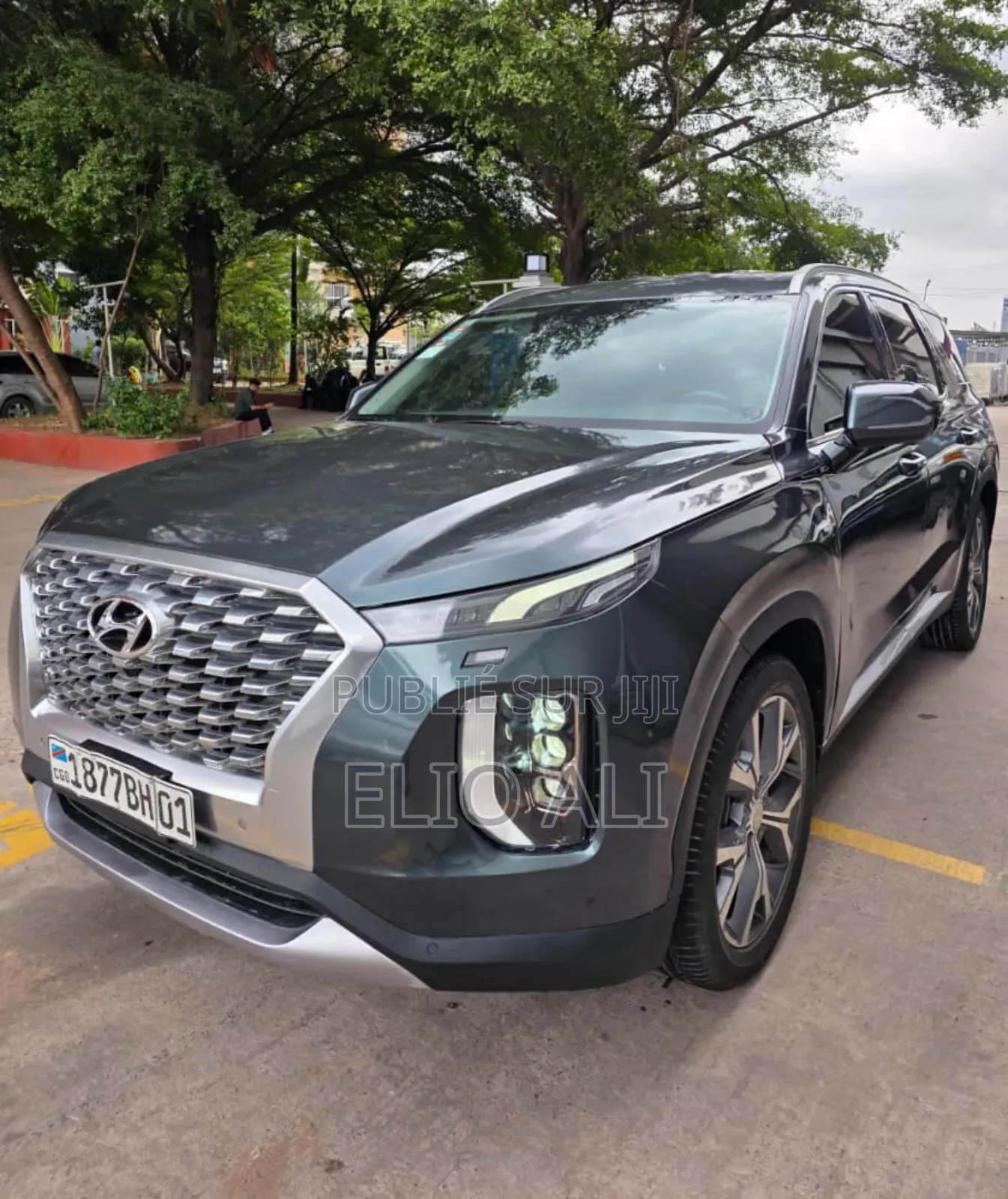 Hyundai Palissade Limited 2022 Gris