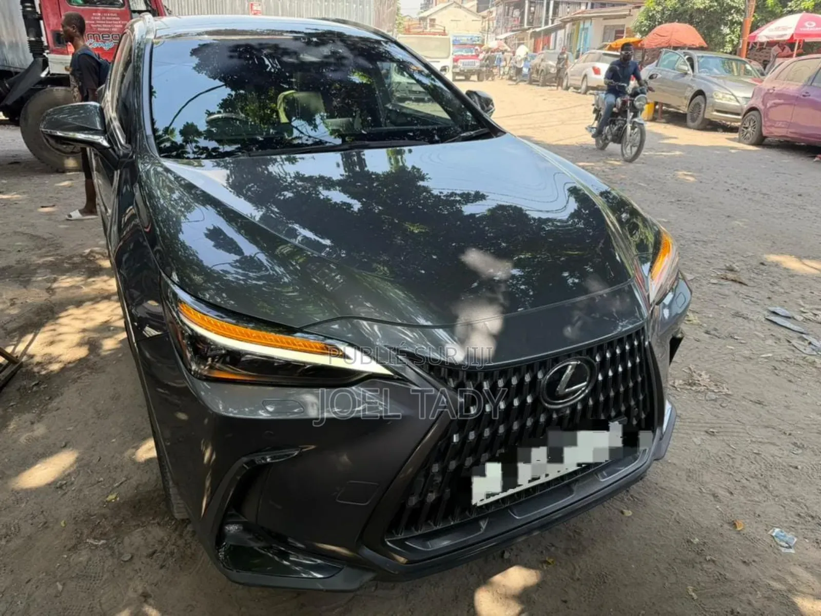 Lexus NX 2024 Gris