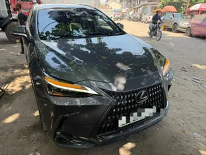 Lexus NX 2024 Gris