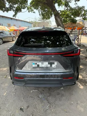 Lexus NX 2024 Gris