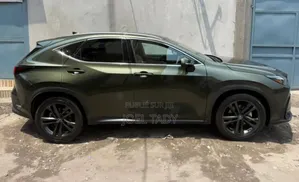 Lexus NX 350h Premium AWD 2025 Vert