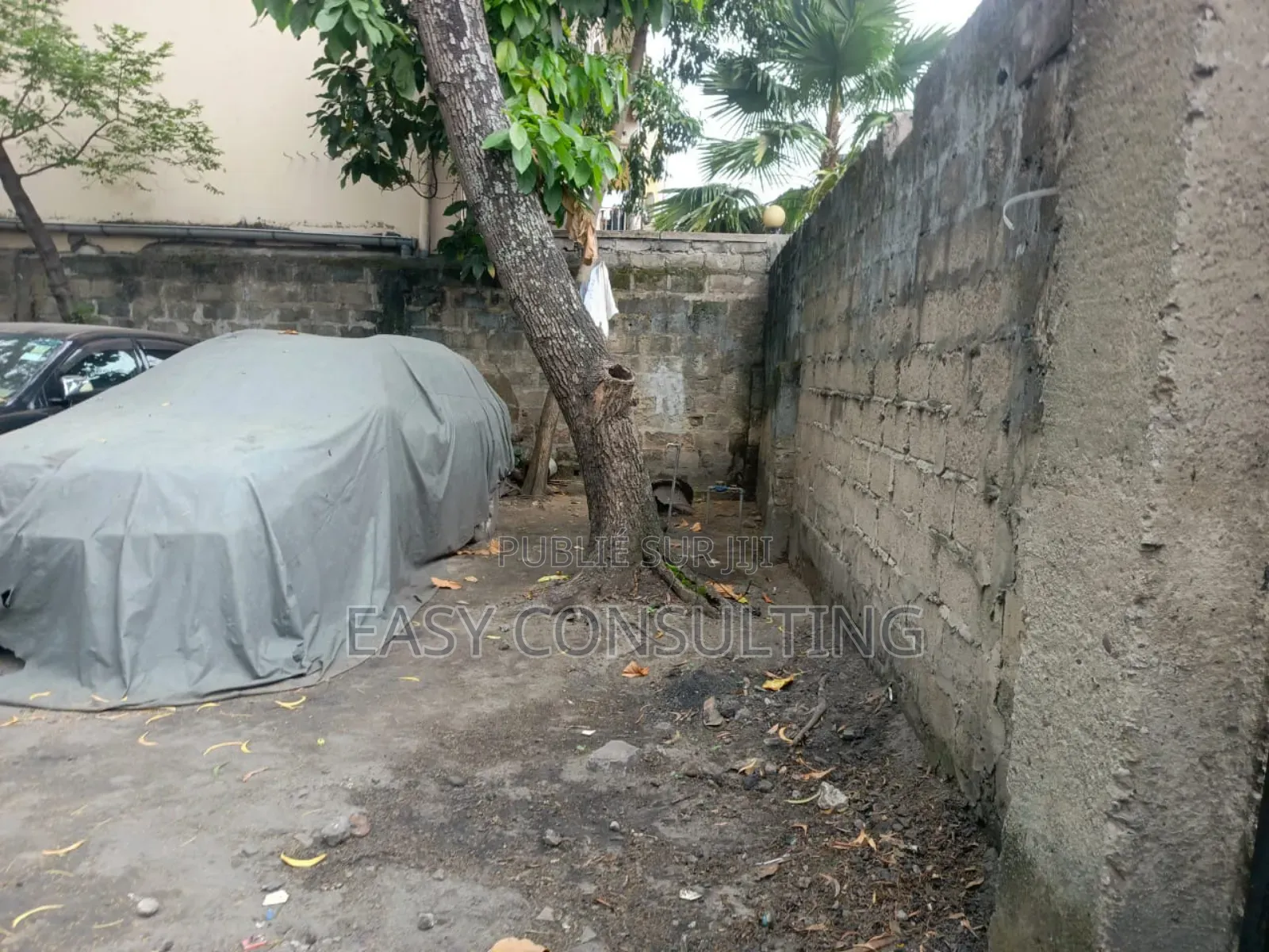 Parcelle 15×20 M À Barumbu – Parfaite Pour Projet Immobilier