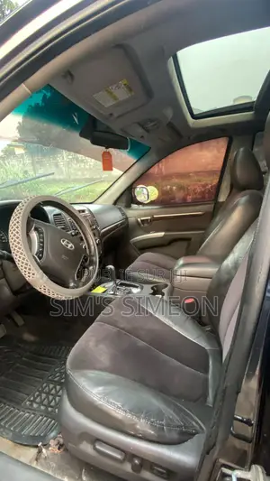 Hyundai Santa Fe 2010 Bleu