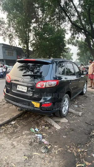 Hyundai Santa Fe 2010 Bleu