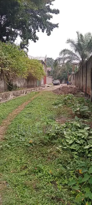 Morcellement Mise en Vente Dans La Commune De Ngaliema Kinsuka