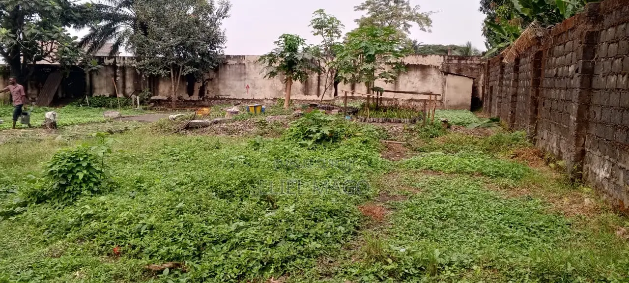 Morcellement Mise en Vente Dans La Commune De Ngaliema Kinsuka