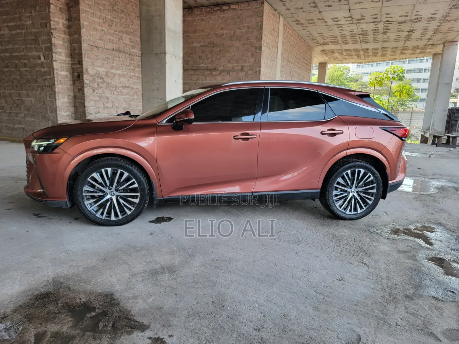 Lexus RX 350 Premium 2024 Rose
