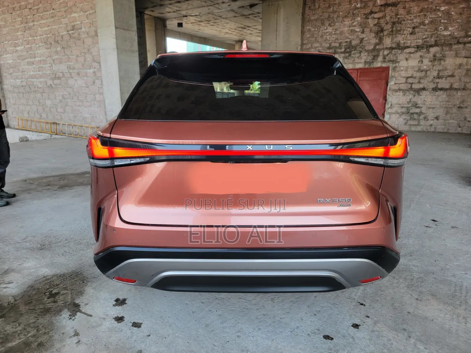 Lexus RX 350 Premium 2024 Rose