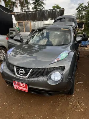 Nissan Juke NISMO 4dr Hatchback (1.6L 4cyl Turbo 6M) 2014 Gris